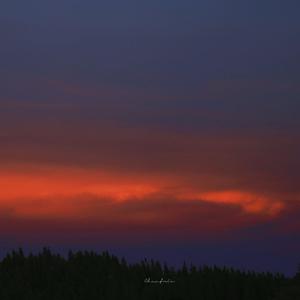 小男生gay男男网站
